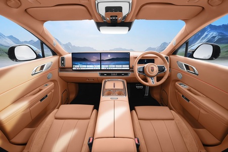 Interior: Saddle Brown