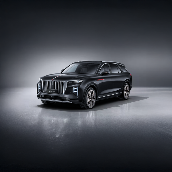 Hongqi E-HS9 colour body exterior detail